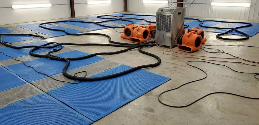 Large-Scale Water Cleanup in Senoia